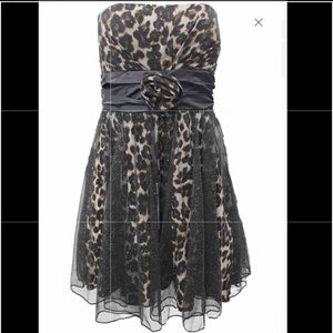 evening dresses at kohls